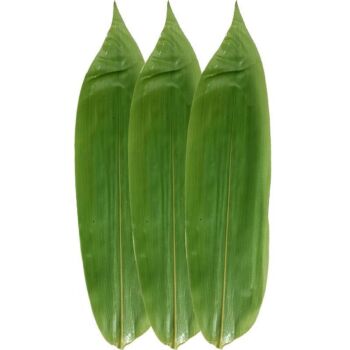 Another Spring Zongzi Leaves 50pcs