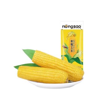 DBNS Brand Yellow Waxy Corn 220g