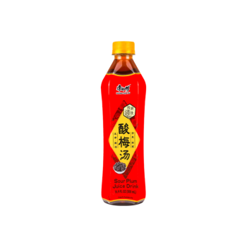 MASTER KONG Plum Juice 500ml