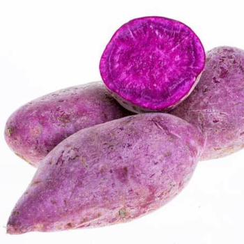 Purple Sweet Potato