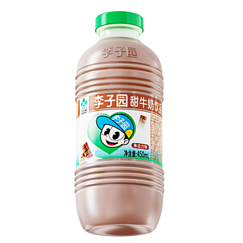 LZY Chocolate Flavour Milk Drink 450ml