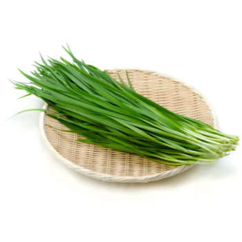Chinese Chive 200g