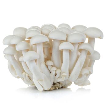 white beech mushroom 150g