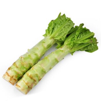 Asparagus lettuce 1pcs