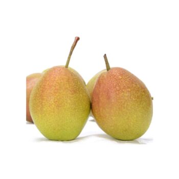 Korla Fragrant Pear 1pcs