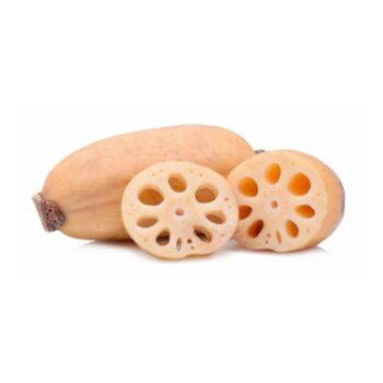 Lotus Root 1pcs