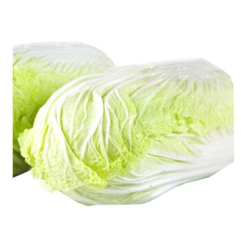 Chinese Leaf/Cabbage