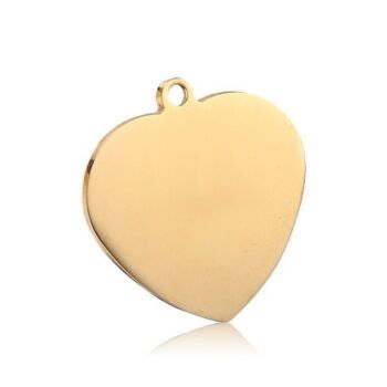 Stainless Steel Anti-Loss Pet ID Tag – Heart-Shaped, Size L