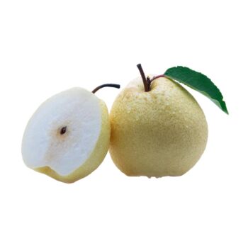 【11.11 Special offer】Mountain Pear