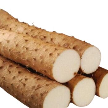 Fresh Yam/ Wai Shan 700g